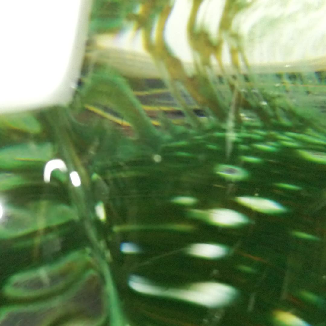 Marcolin Art Crystal マルコリン・アート・クリスタル 鳥 緑