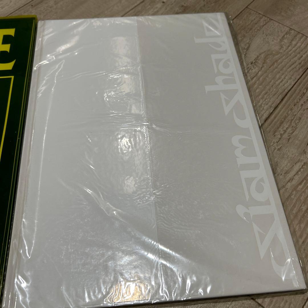 【シャムシェイド】ツアーグッズ　雑誌　レア14点セット　SIAM SHADE