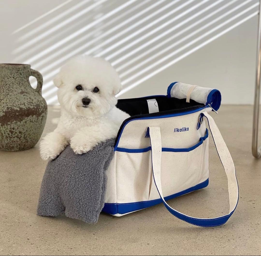 likalika 韓国　キャリーバッグ