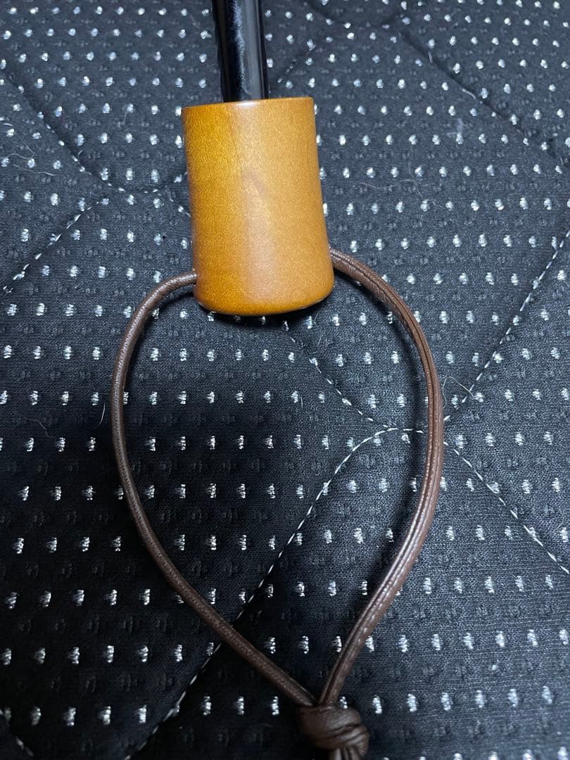 サンバリア100 2段大判　フロストブルー(紐付き)