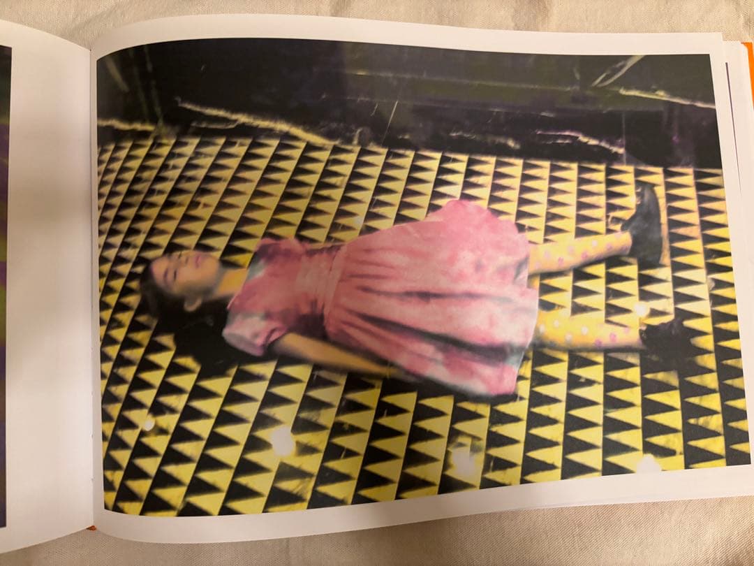 アート・デザイン・音楽 Annelies Strba: My Life's Dreams