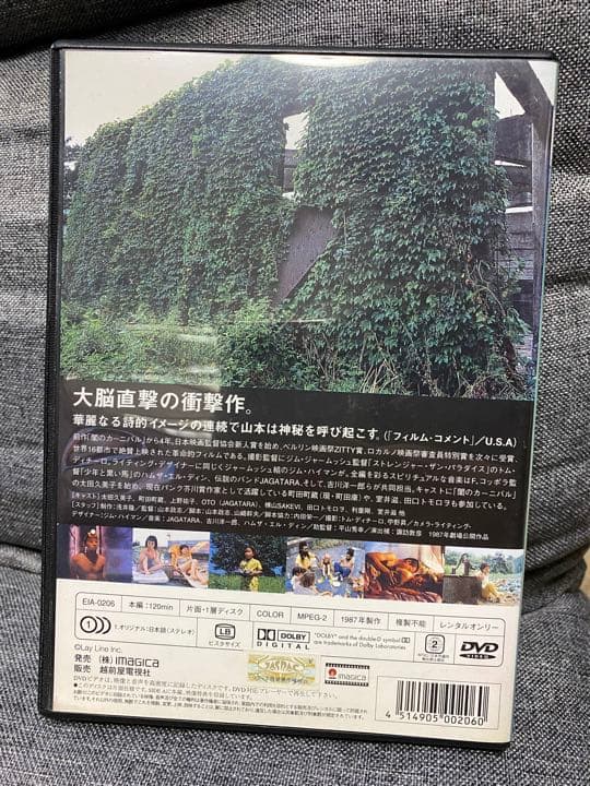 ロビンソンの庭 DVD