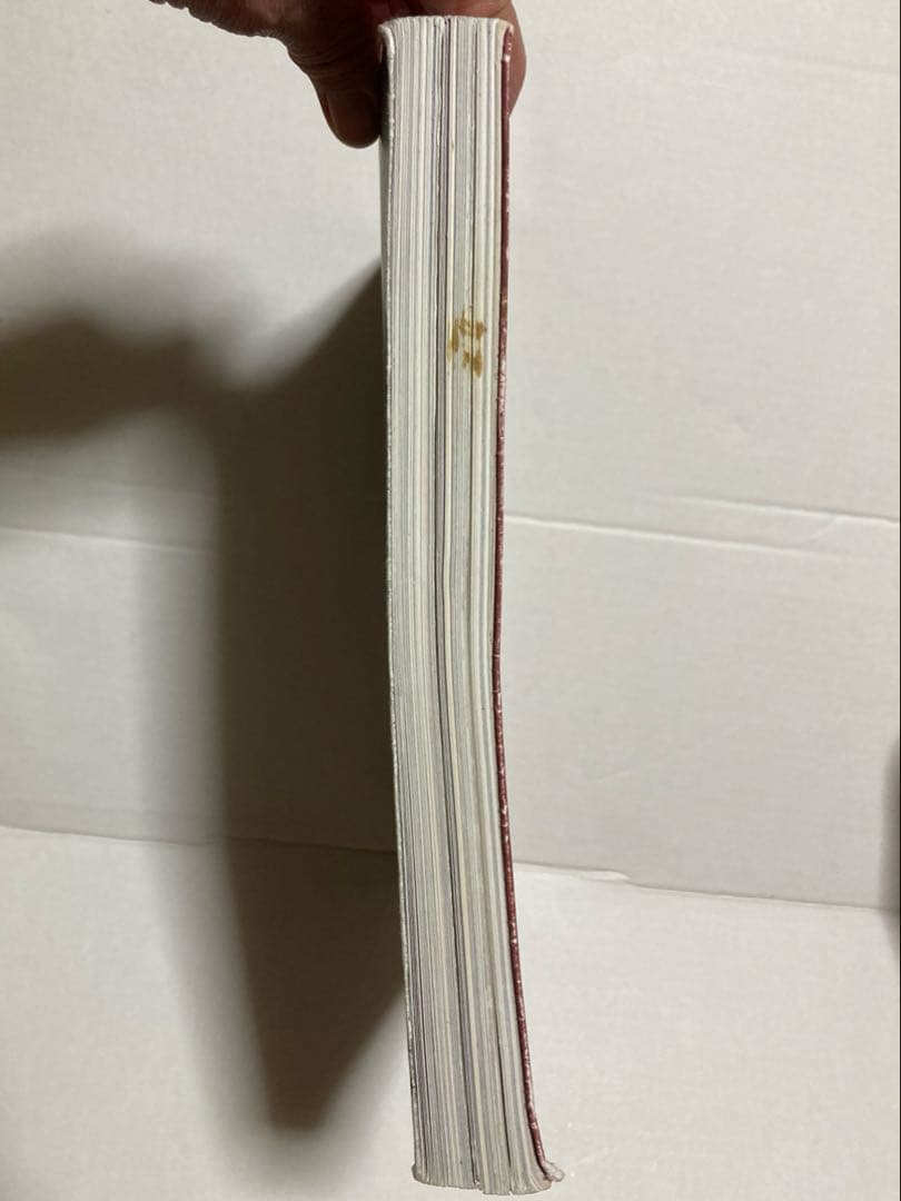 MYSORE STYLE アシュタンガヨガ Ashtangayoga 写真集