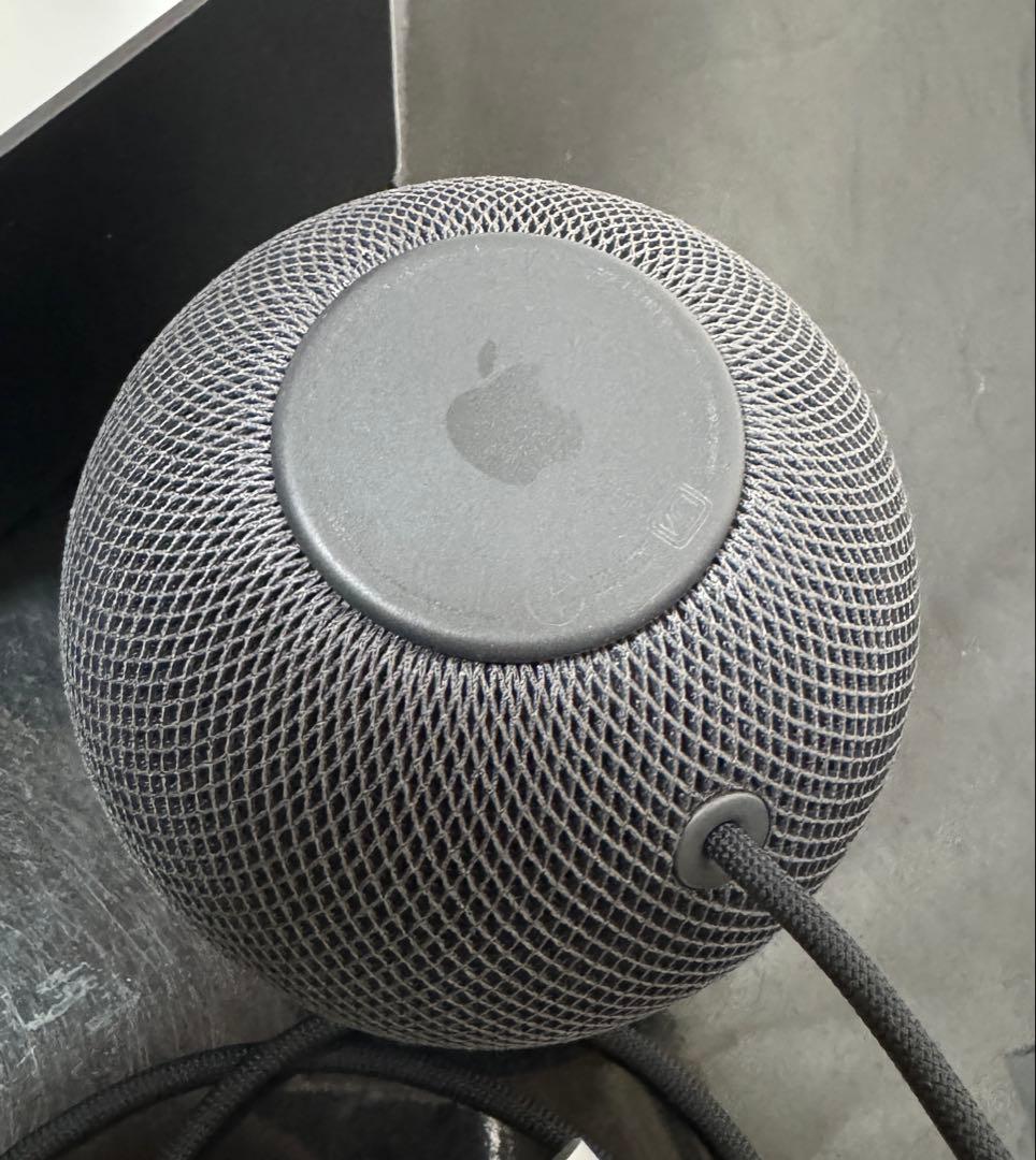 APPLE Pod Mini スペースグレイ 2個セット