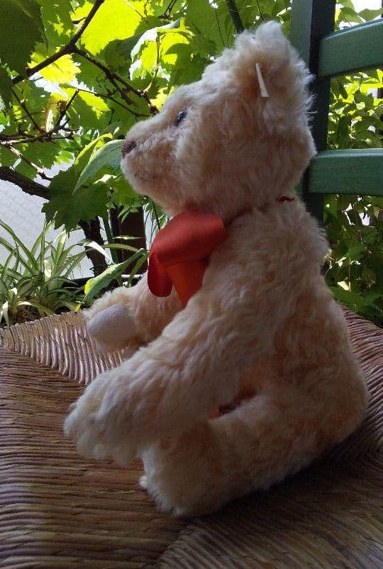 シュタイフテディベア※Steiff※チェスター※1996年製※ハムリーズ限定