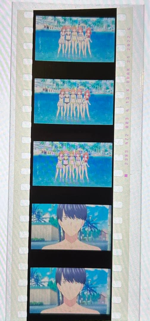 五等分の花嫁　入場者特典　フィルム