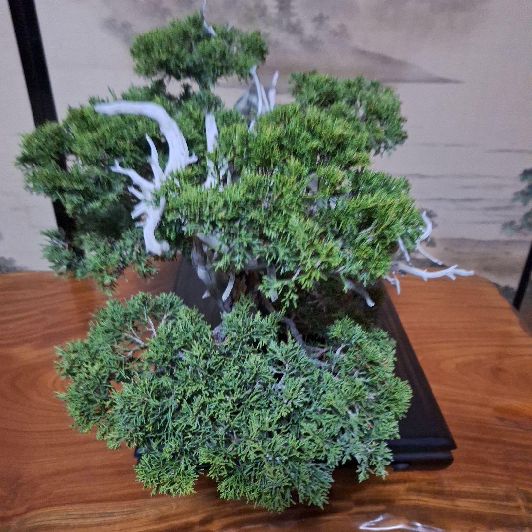 糸魚川真柏　創作盆栽　タヌキ　松　真柏
