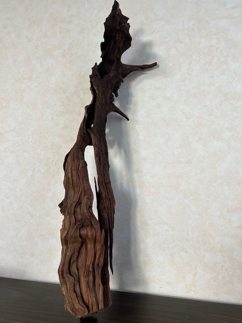 HX-026 流木　ホーンウッド　マシンガンウッド　アクアリウム　ブランチウッド