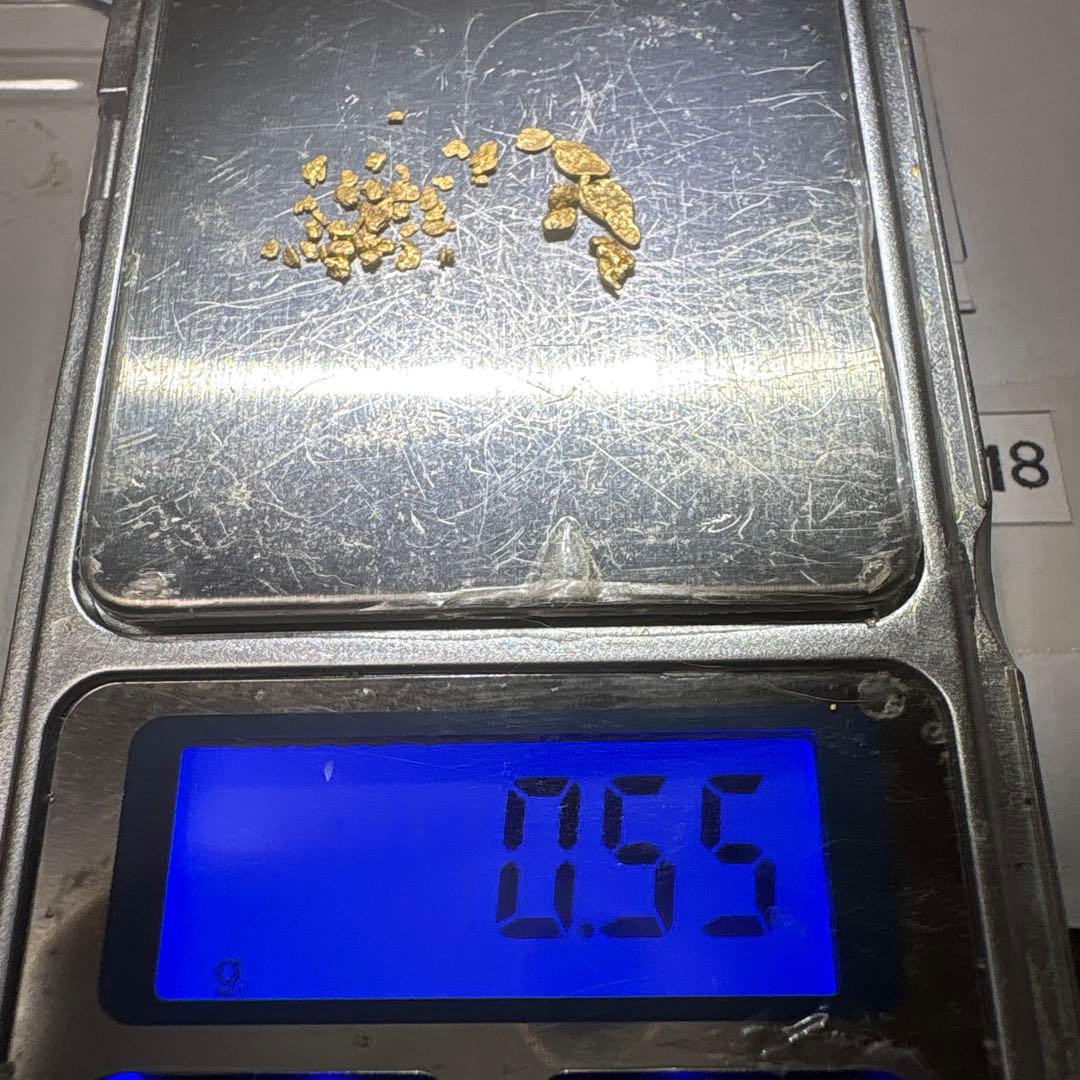 金*粒様 砂金(18)