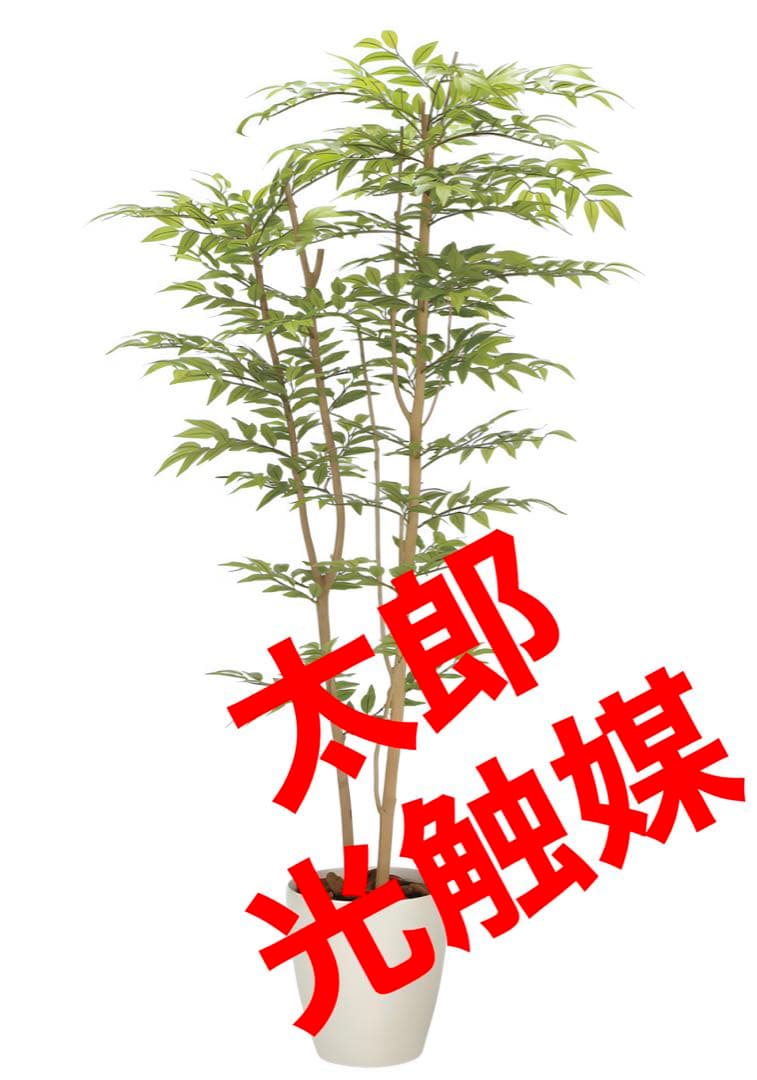 光触媒　人工観葉植物　ウォールグリーン　フェイクグリーン　ソヨゴ1.6m