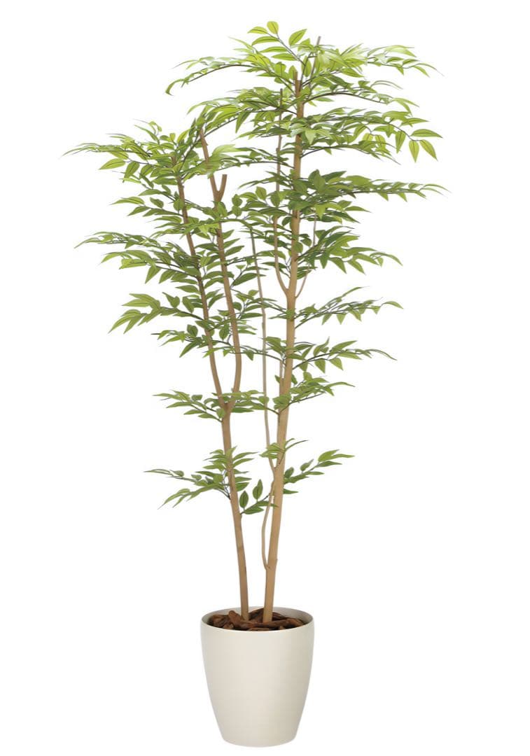 光触媒　人工観葉植物　ウォールグリーン　フェイクグリーン　ソヨゴ1.6m