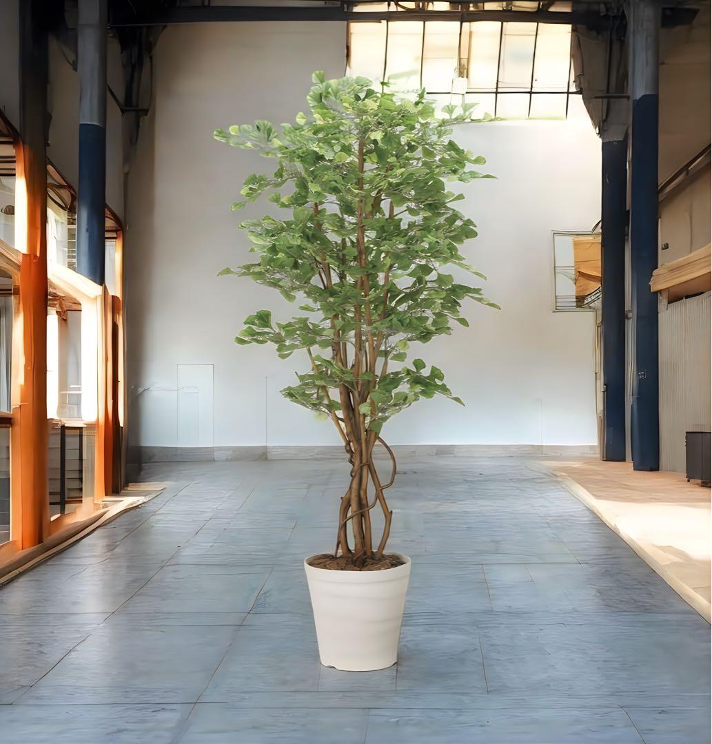光触媒　人工観葉植物　ウォールグリーン　フェイクグリーン　イチョウの木1.8