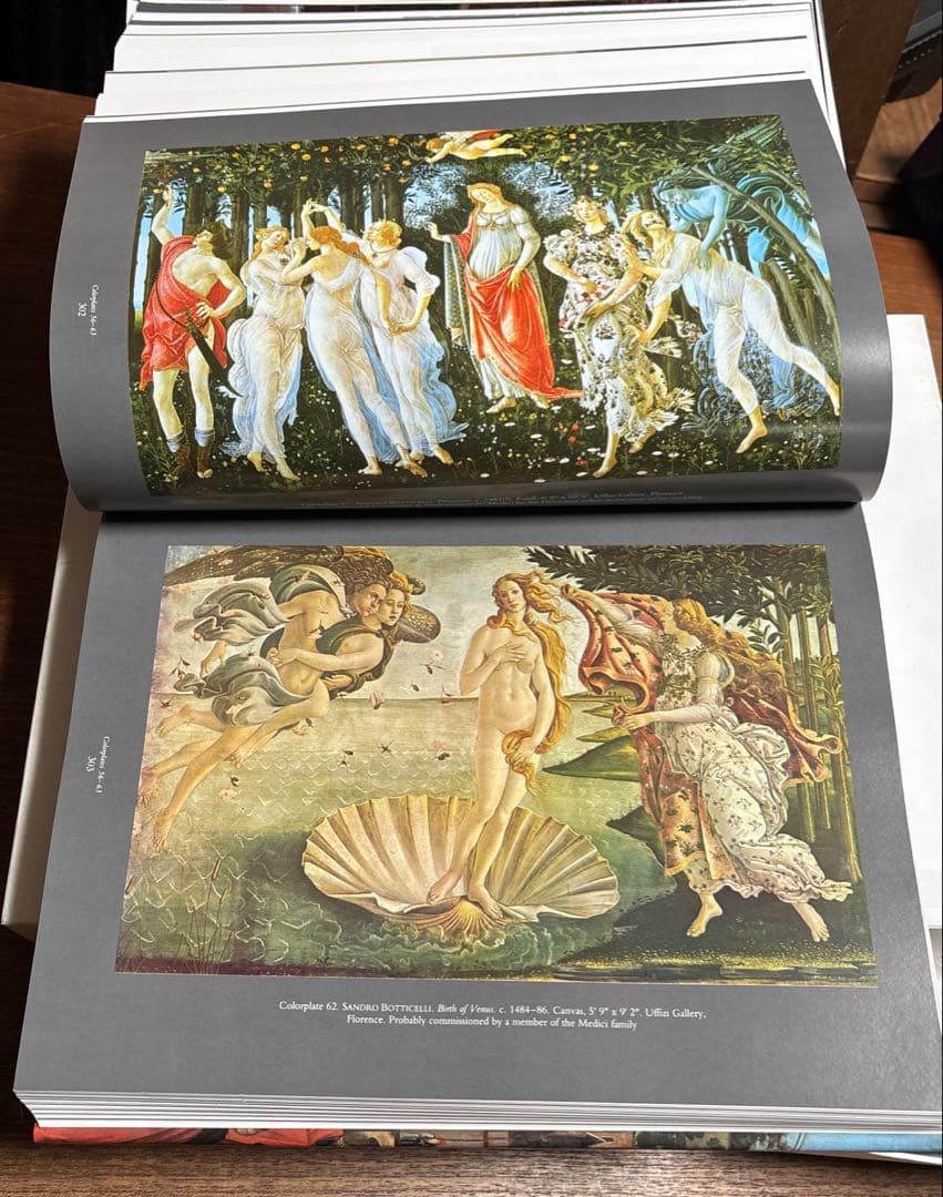 History of ITALIAN RENAISSANCE ART 英文