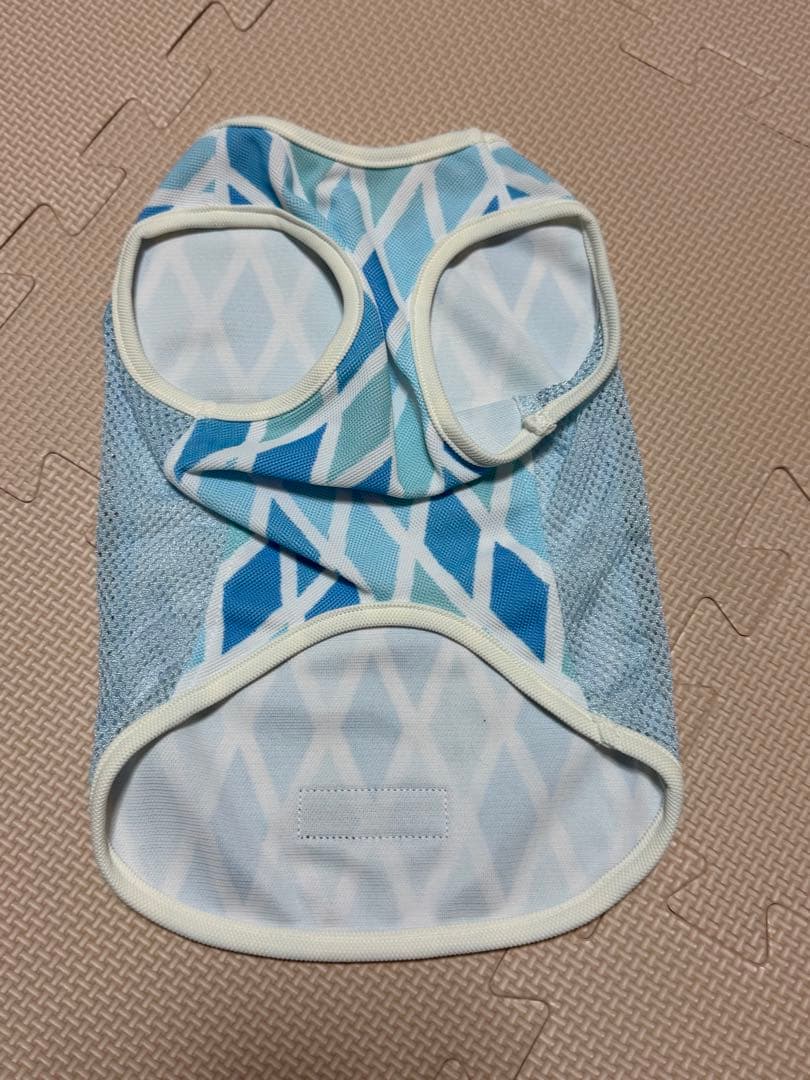 ALPHAICON サマークーリングタンク　Mサイズ