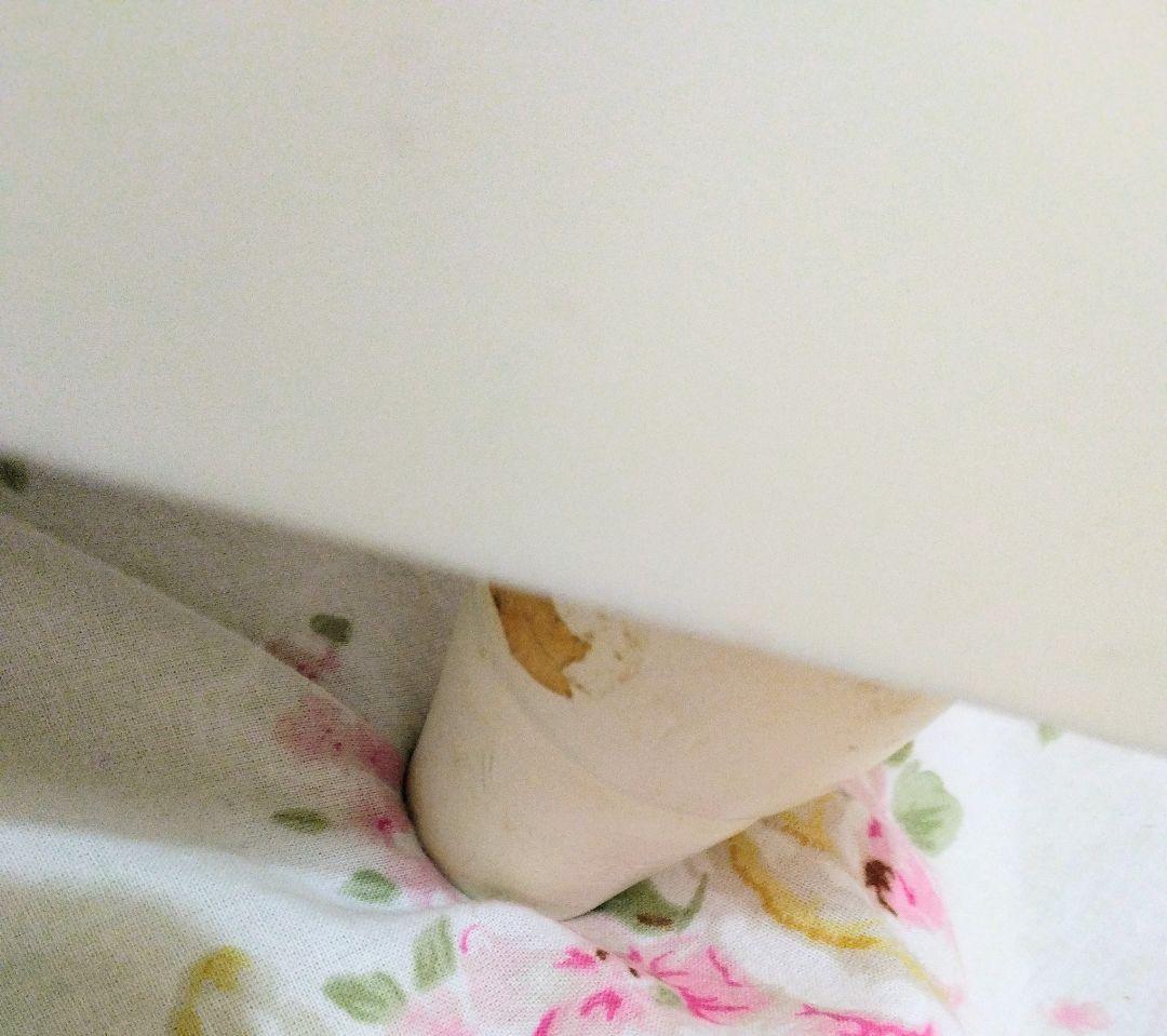 シャビーシック キャビネット 収納棚 アメリカ購入品 送料込み