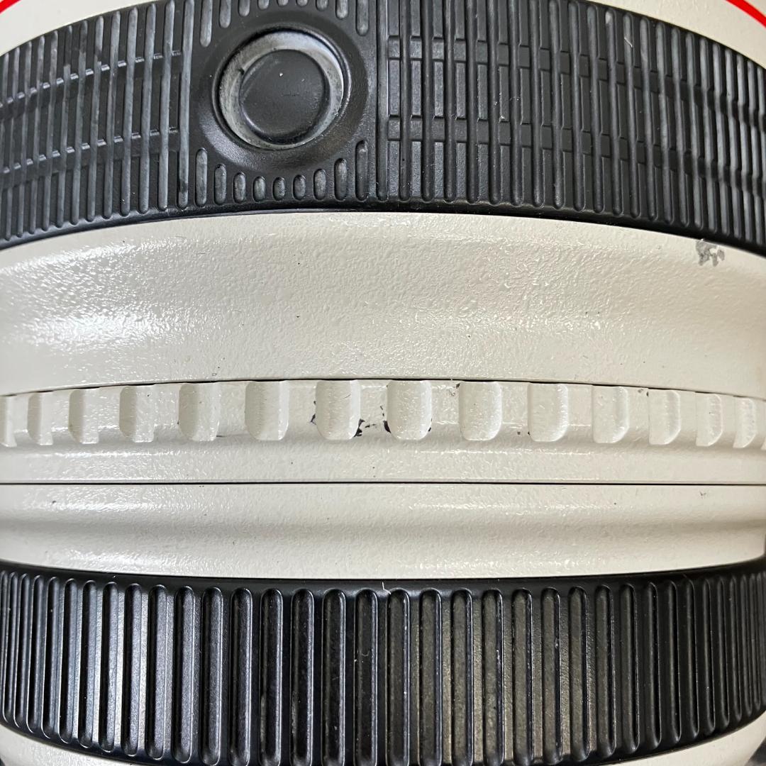 Canon超望遠レンズ EF500mm F4 L IS USM