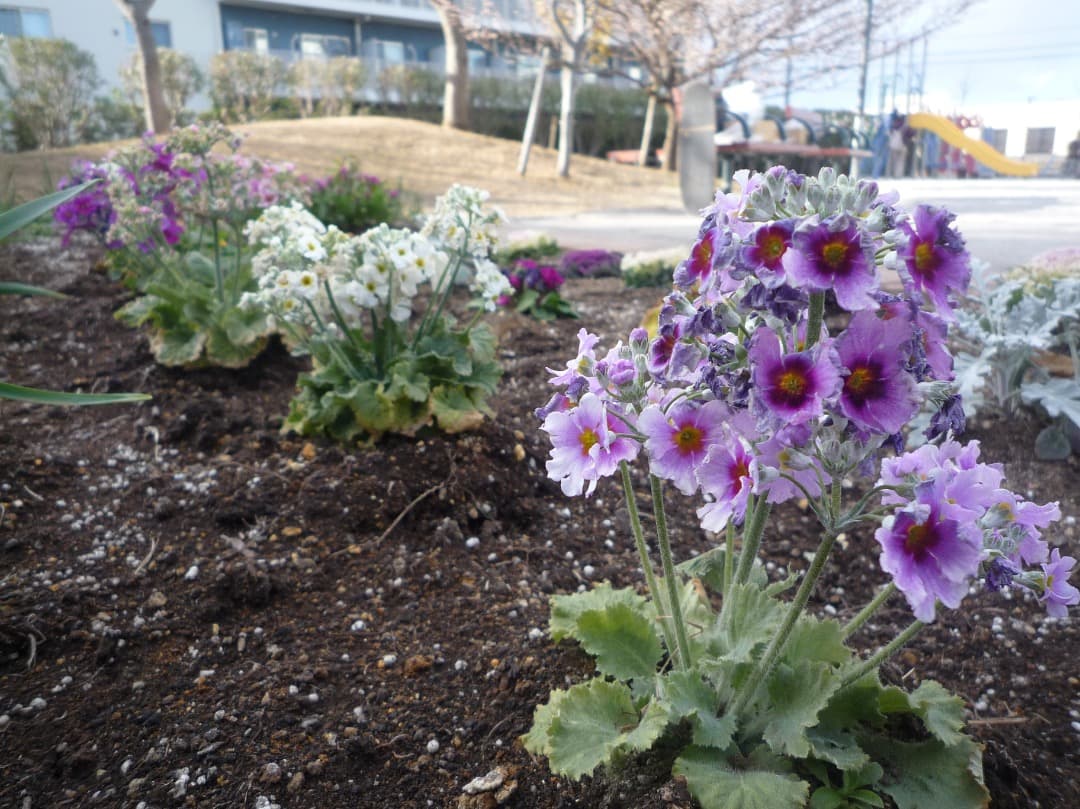 実写美⭕️【動作確認済】パナソニック デジカメ LUMIX DMC-FX35