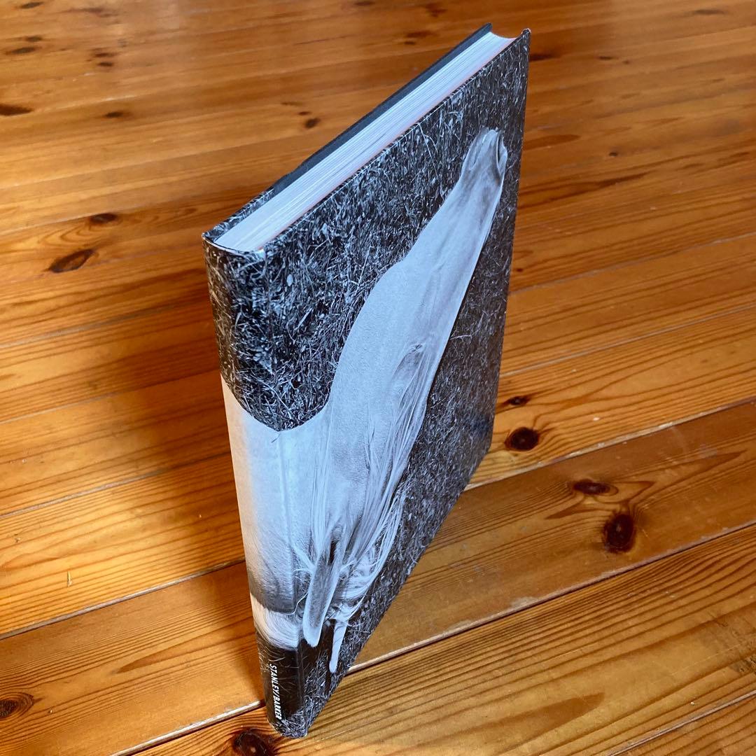 アート・デザイン・音楽 MEGALITH-STILL - Mimi Plumb