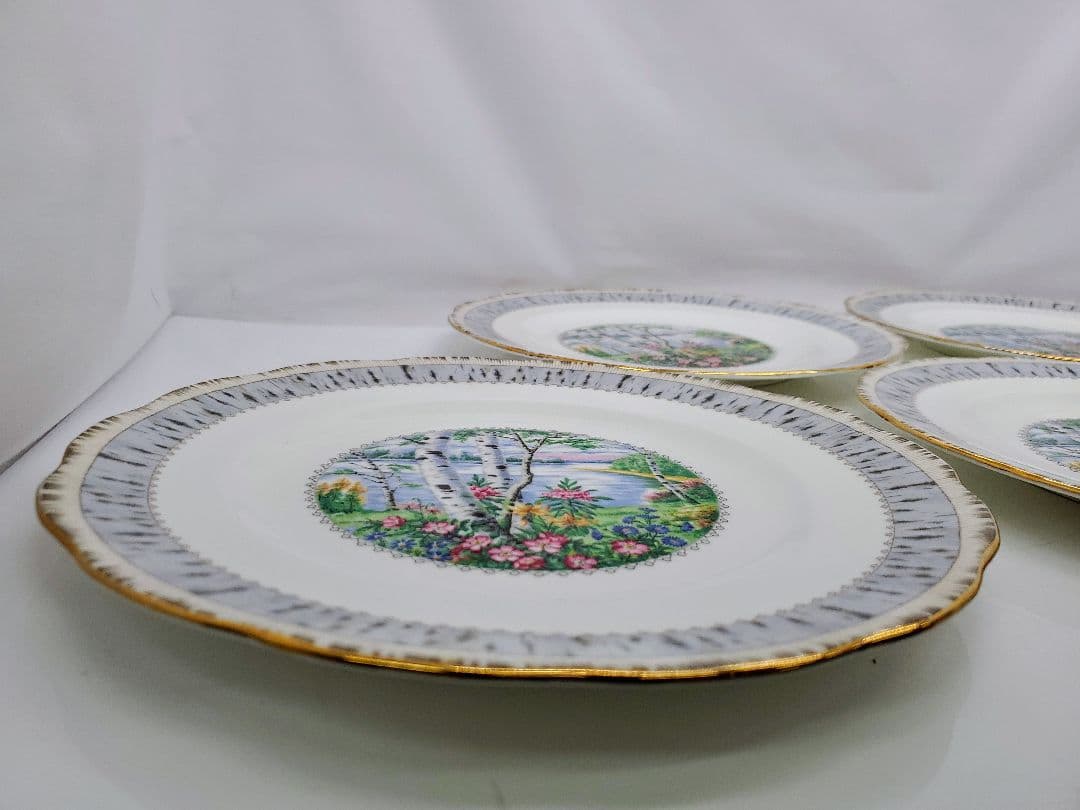 ②ロイヤル アルバート Silver Birch プレート　大皿　5枚　26cm