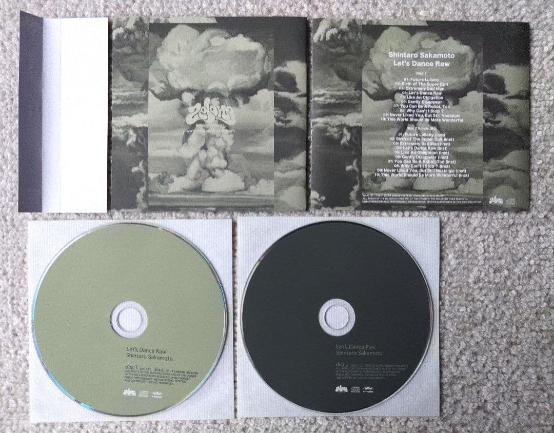 Shintaro Sakamoto 坂本慎太郎 Let's Dance Raw