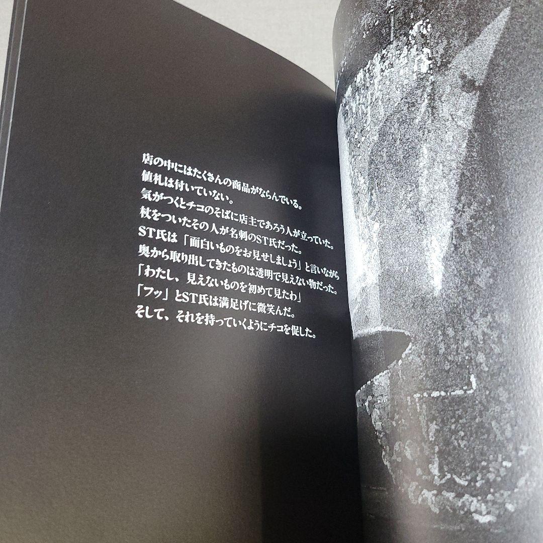 チコの時空間旅行　中江嘉男　上野紀子　絵本