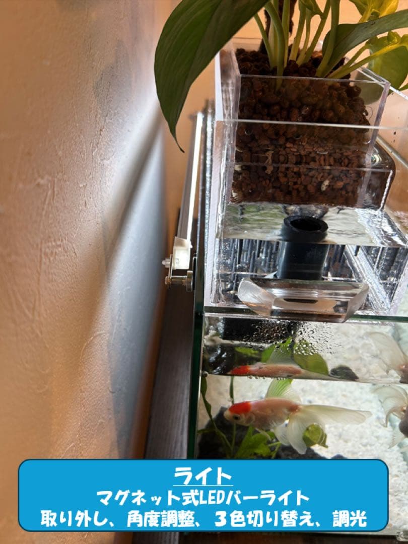 上部濾過槽＋ガラス水槽セット　アクアリウム水槽アクアポニックス仕様上部フィルター