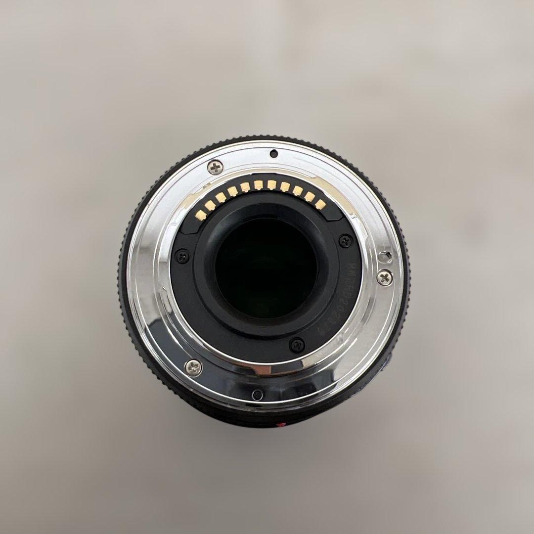 601370 Panasonic望遠ズームレンズ H-PS45175-K