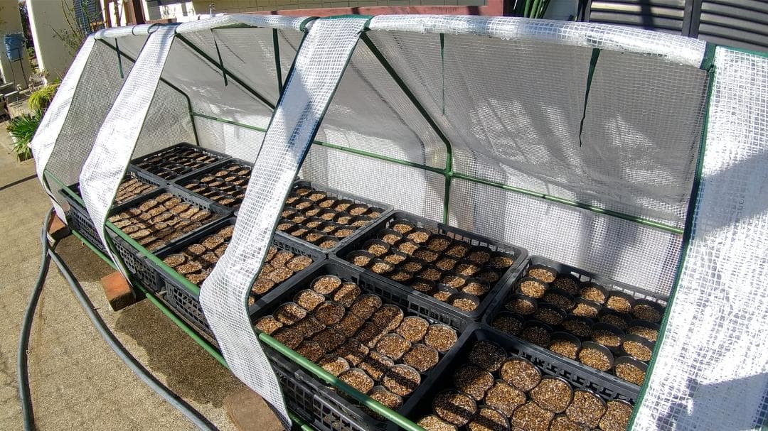 温室 家庭菜園 家庭用 ビニールハウス