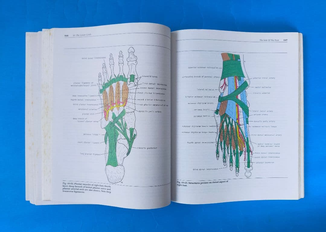 激レア❗希少❗貴重❗医学生のための臨床解剖学 医学書 掘り出し物❗
