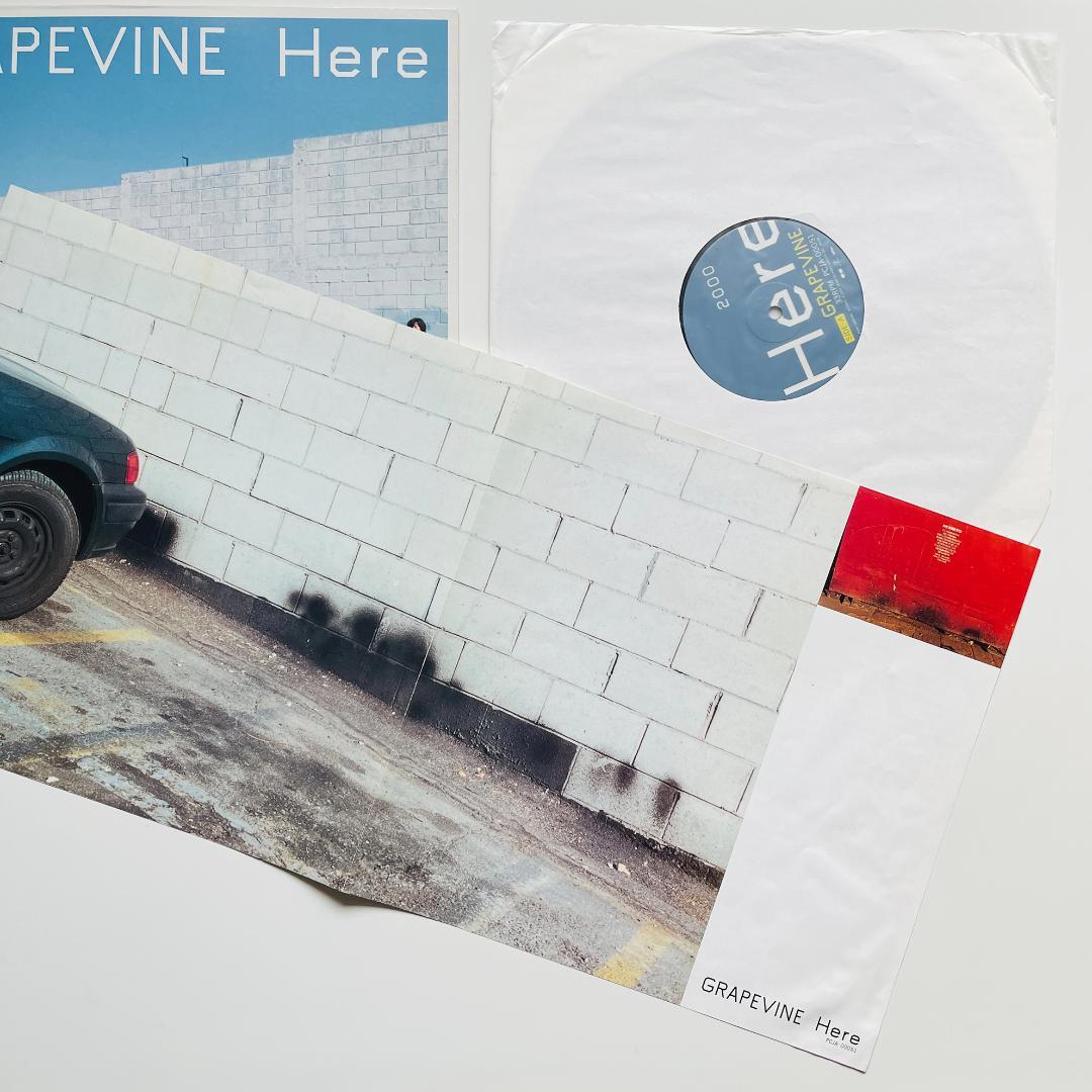 稀少 レコード〔 GRAPEVINE - Here 〕グレイプバイン