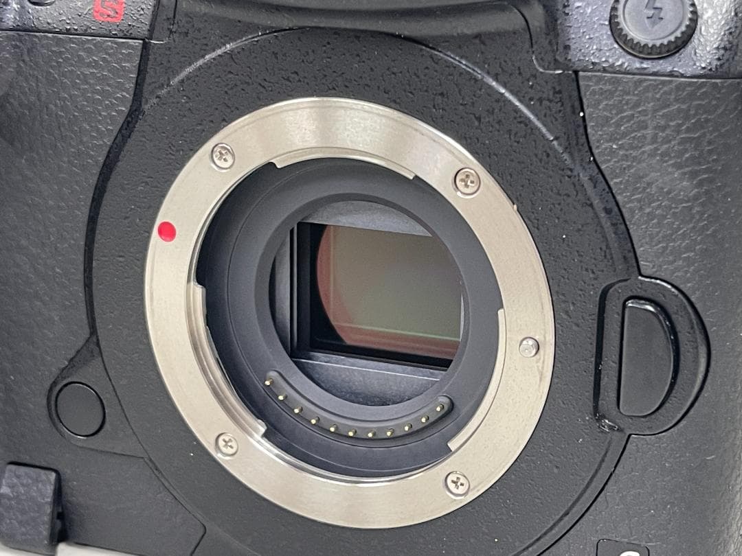 Panasonic LUMIX GH5S ボディ 美品・完動品・元箱付き