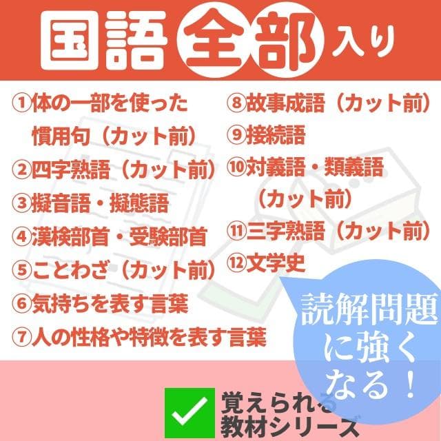 ✨14500円➡9000円✨【～2/1期間限定特価】国語全部入り