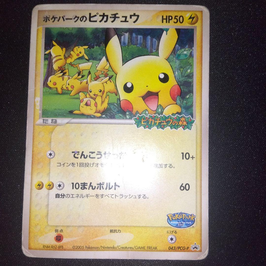 ポケパーク　グラードン　ゴンベ　ピカチュウ