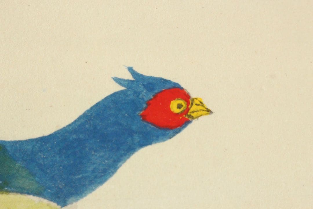 No5417掛軸　前川修　「雉子」　紙本着色　共箱　日本画　花鳥　古画　送料無料