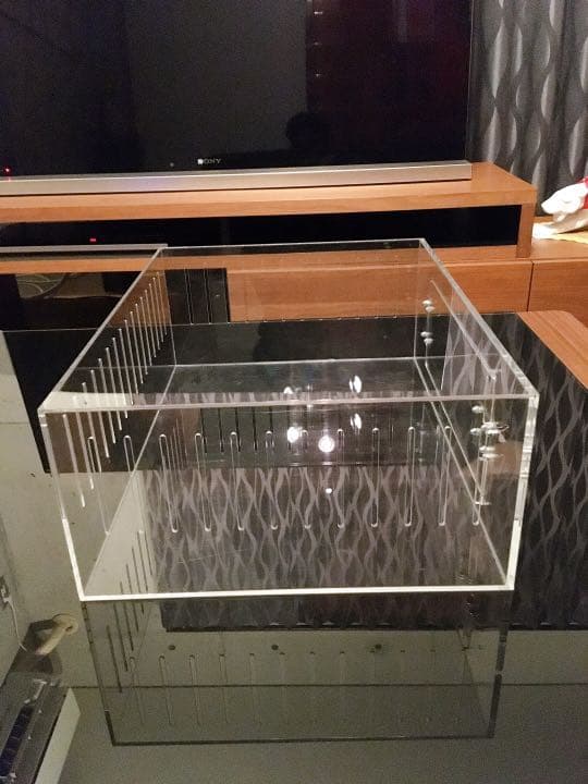 爬虫類ゲージ アクリルゲージ 【 No.1 】