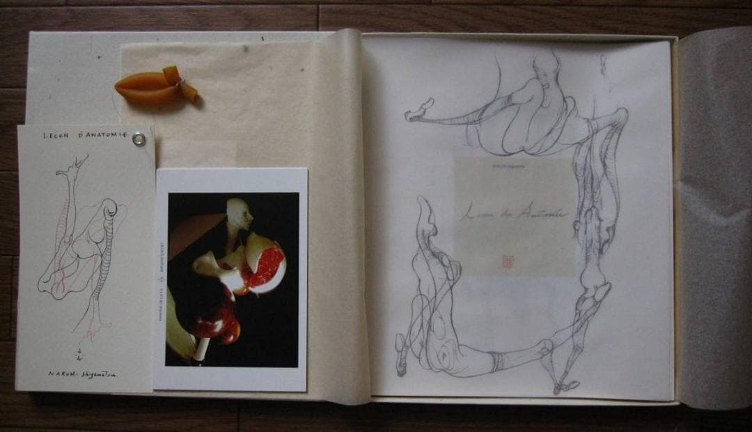 解剖学の授業 Lecon de Anatomie　重松成美