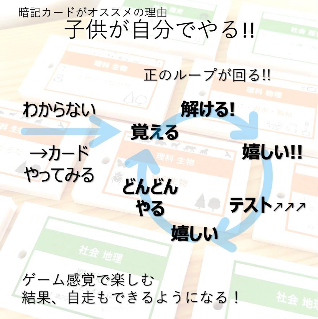 中学受験 暗記カード【4年上 社会・理科 6-19回】組分け対策 予習シリーズ