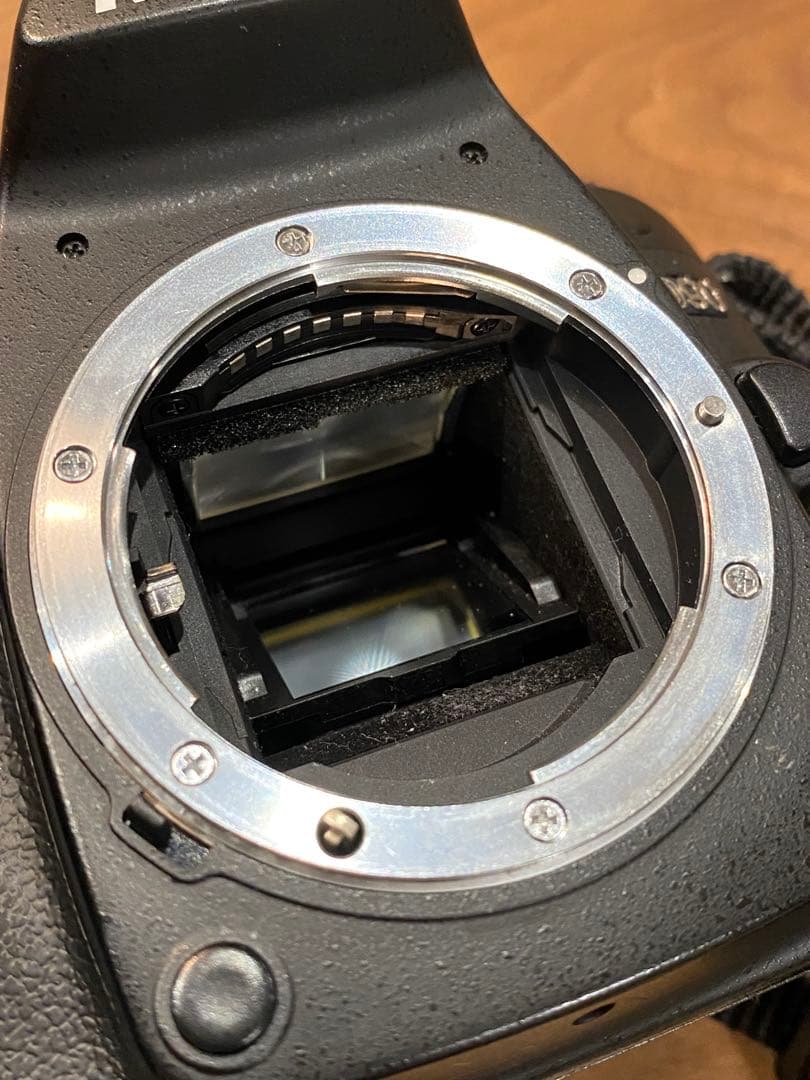 Nikon D90 デジタル一眼Tamron 100-300レンズ付　動作品