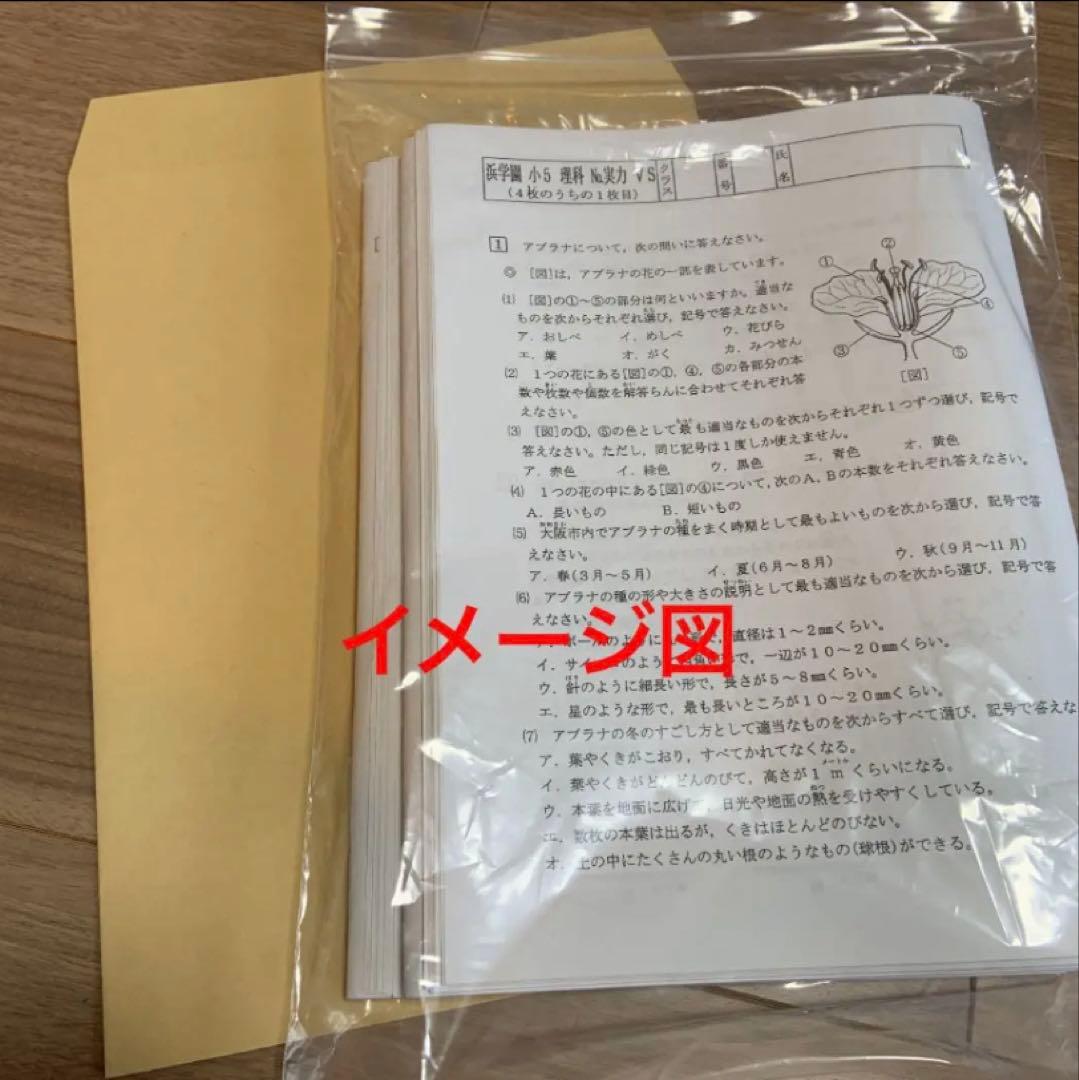 浜学園　小5　国語算数理科　Vクラス　復習テスト　実力〜No.42　解答解説付き