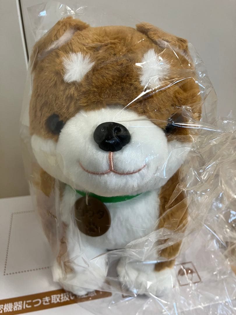 おしゃべり柴犬コウタ