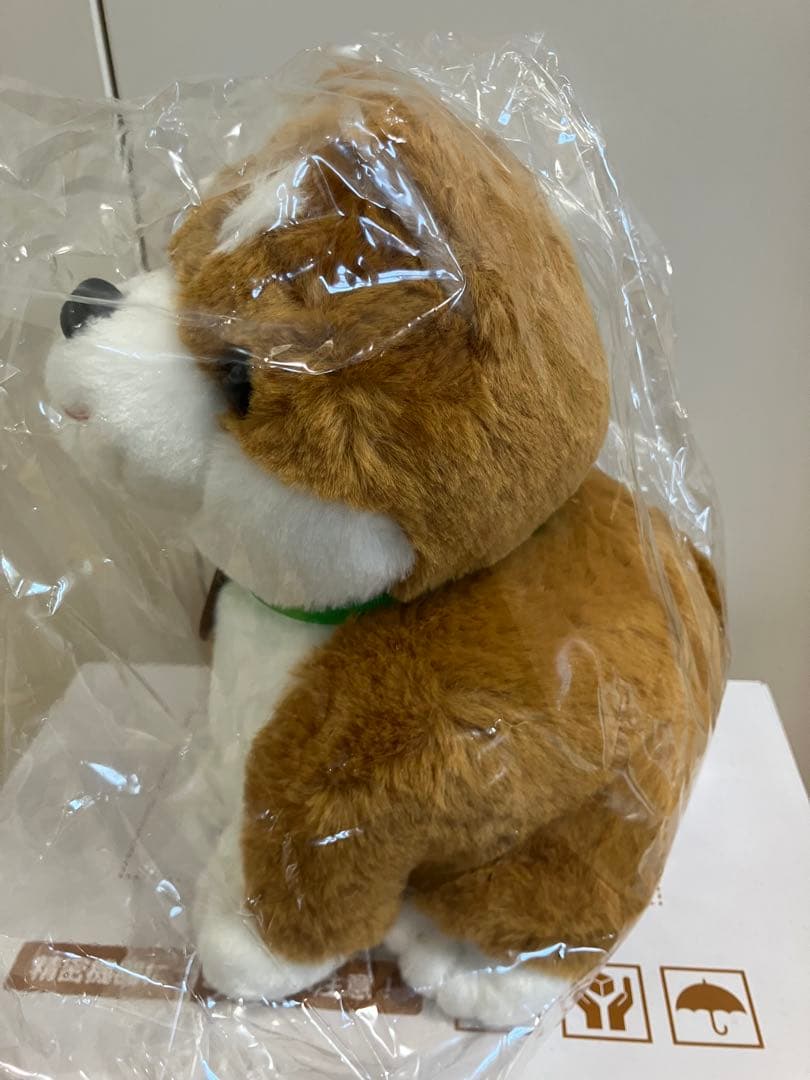 おしゃべり柴犬コウタ