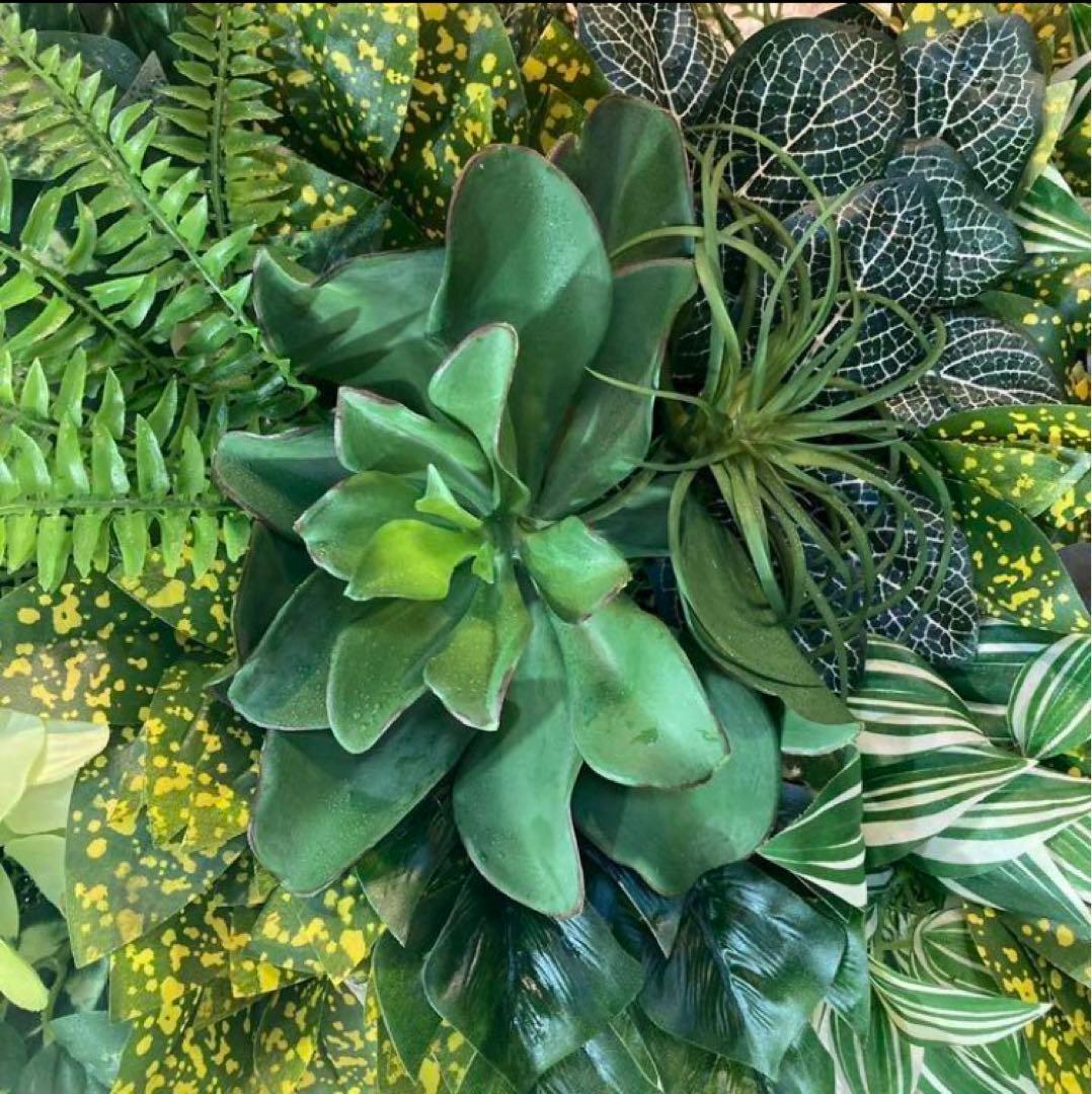 光触媒　人工観葉植物　ウォールグリーン　フェイクグリーン　壁掛け　702085@