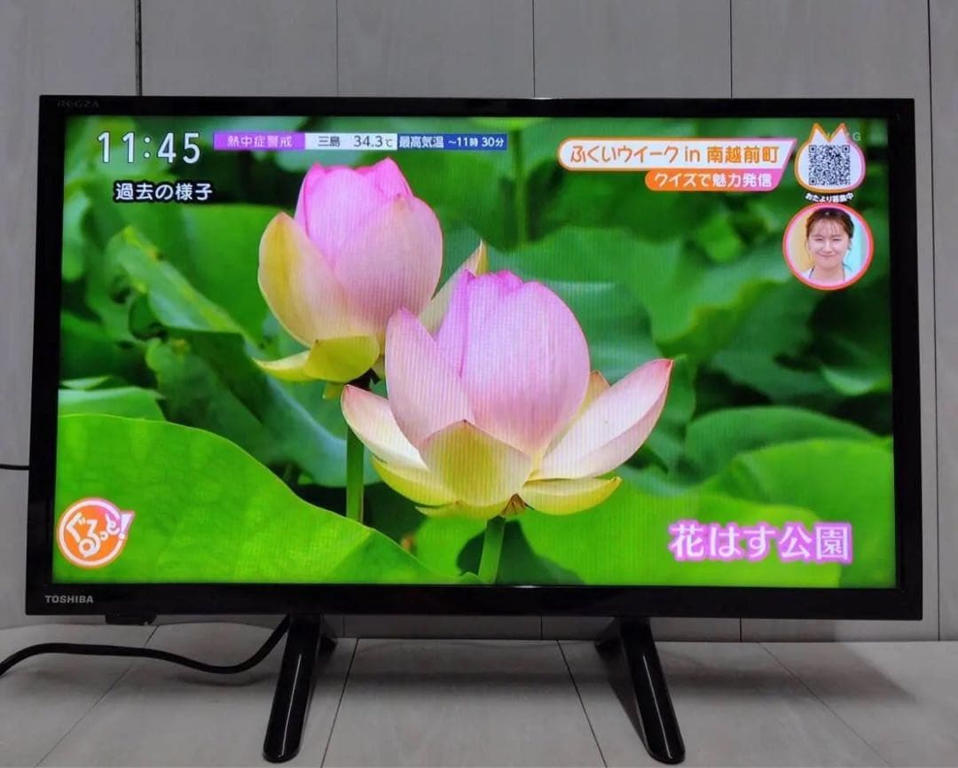TOSHIBA REGZA 24V型 液晶テレビ 24V34 ネット動画対応