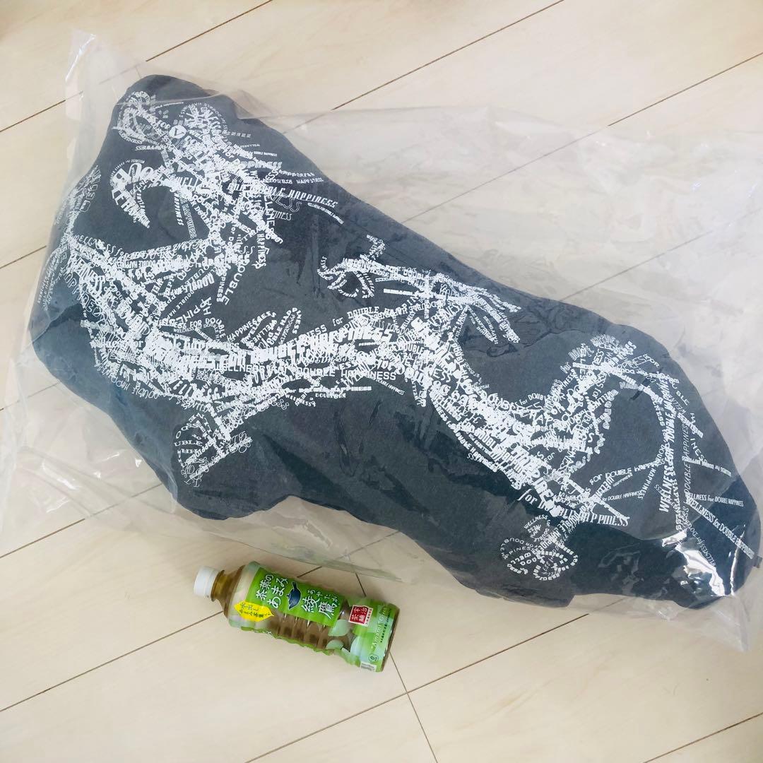 ヴィヴィアン タム　クッション