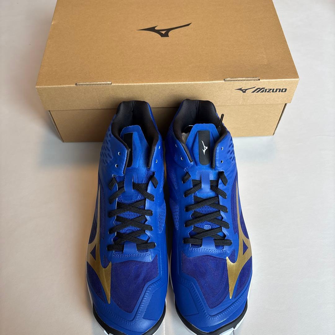 ミズノ バレーボールシューズ 29cm ハイカット