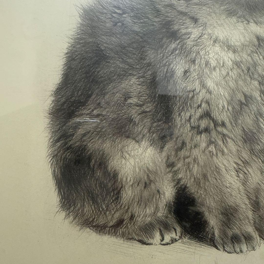 猫　絵画