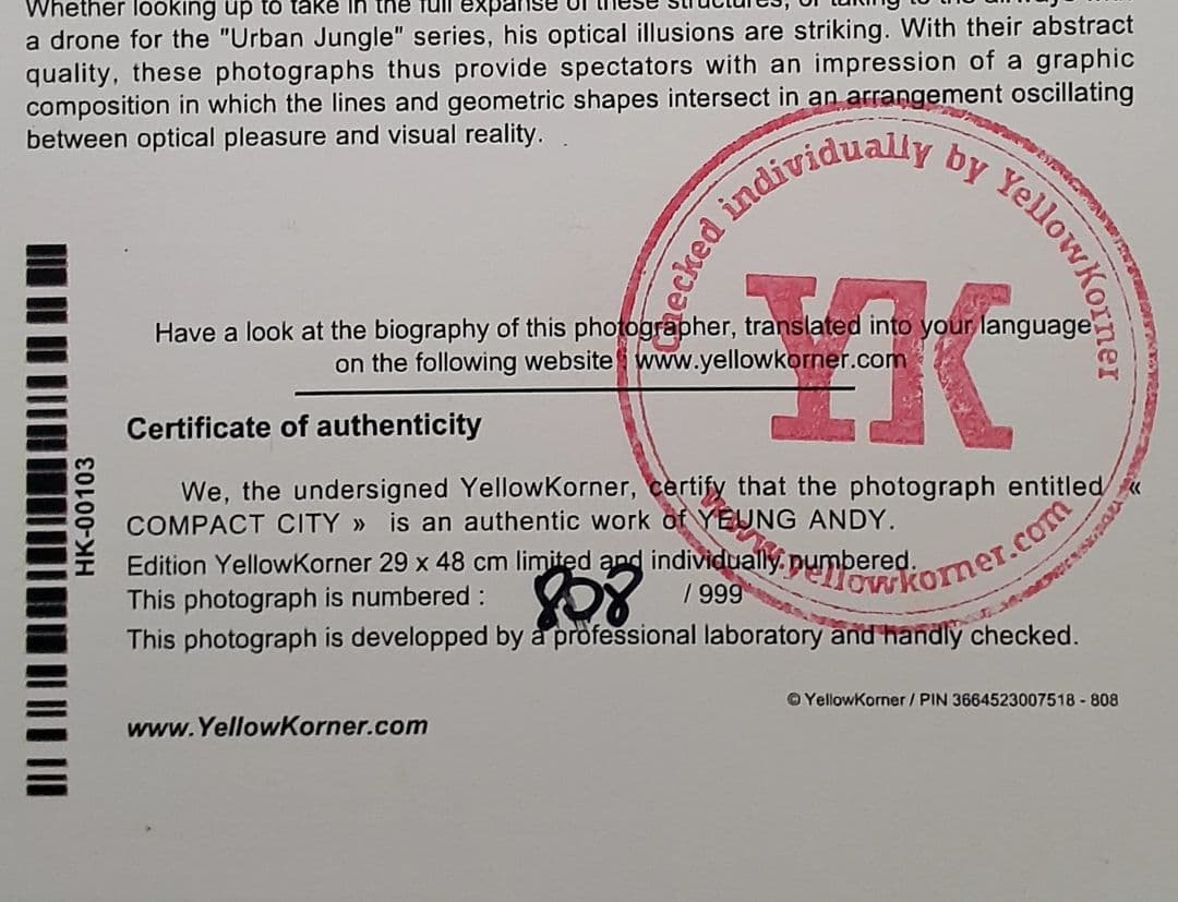 YELLOW KORNER Andy YEUNG サイズ48×29cm