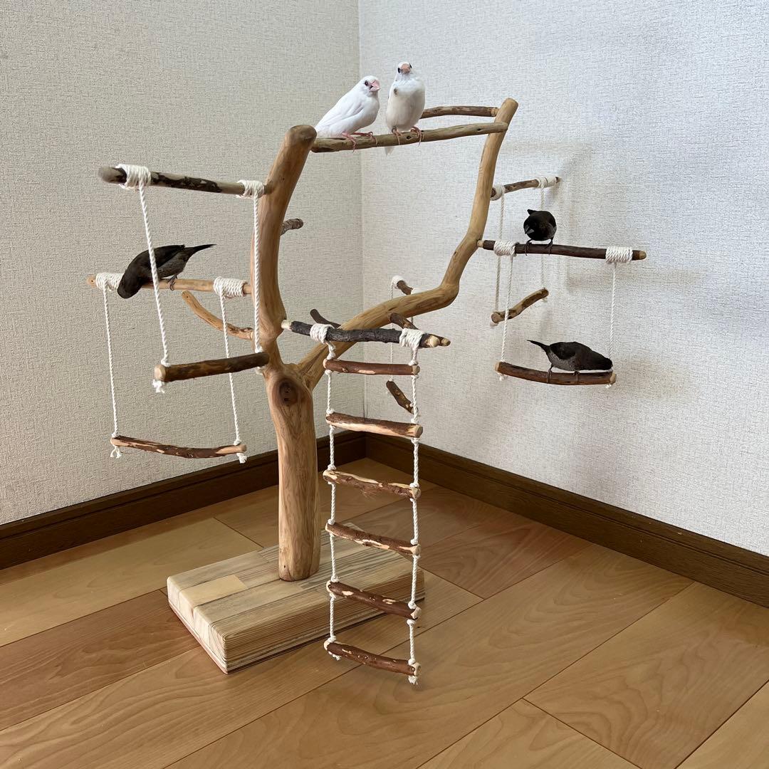 【小鳥用】わぃわぃ楽しい♬ブランコ&ハシゴ付 バードアスレチック