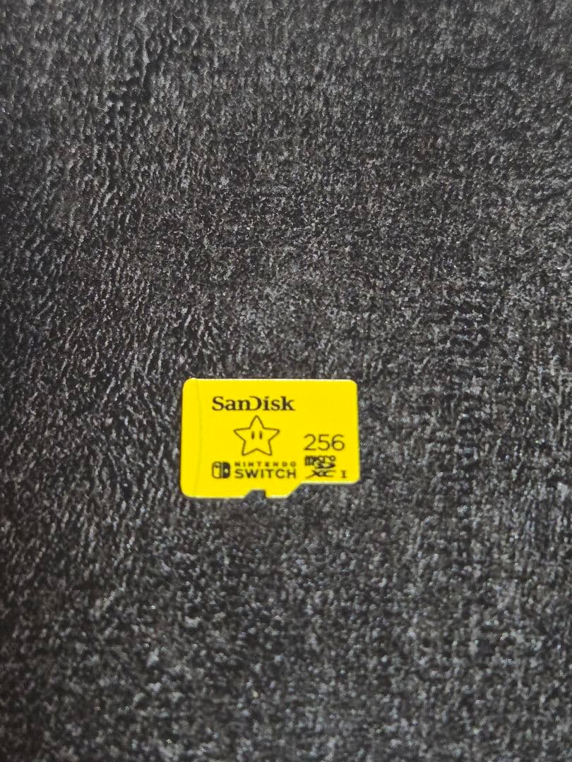 Nintendo Switch Lite ダイパ Microsdカード付き