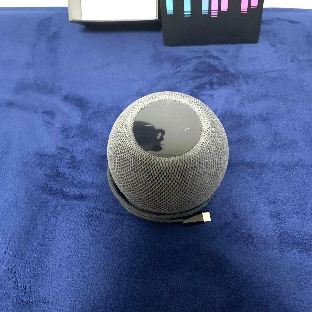 美品 Pod mini - スペースグレイ スピーカー